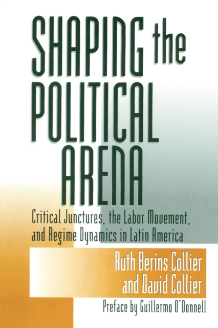 Shaping the Political Arena, Paperback / softback Book