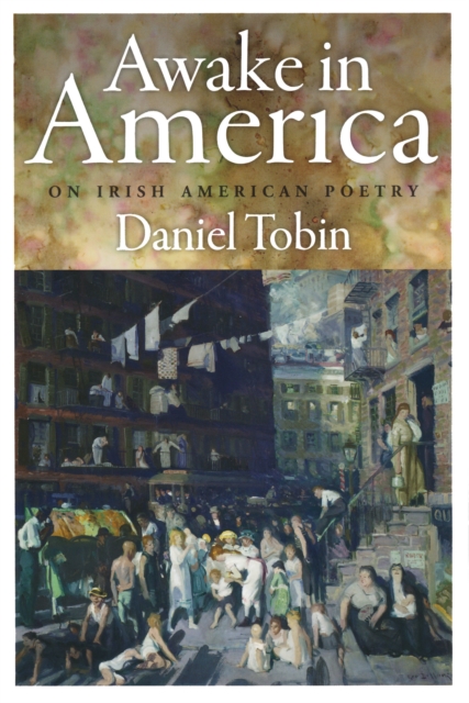 Awake in America : On Irish American Poetry, PDF eBook