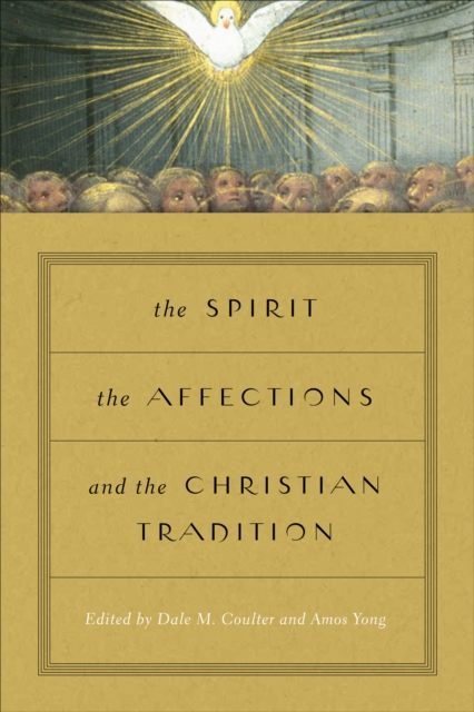 The Spirit, the Affections, and the Christian Tradition, Hardback Book