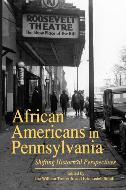 African Americans in Pennsylvania : Shifting Historical Perspectives, Paperback / softback Book