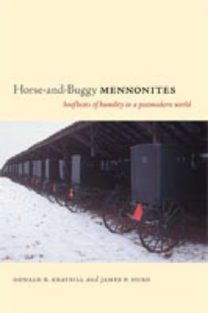 Horse-and-Buggy Mennonites : Hoofbeats of Humility in a Postmodern World, Hardback Book