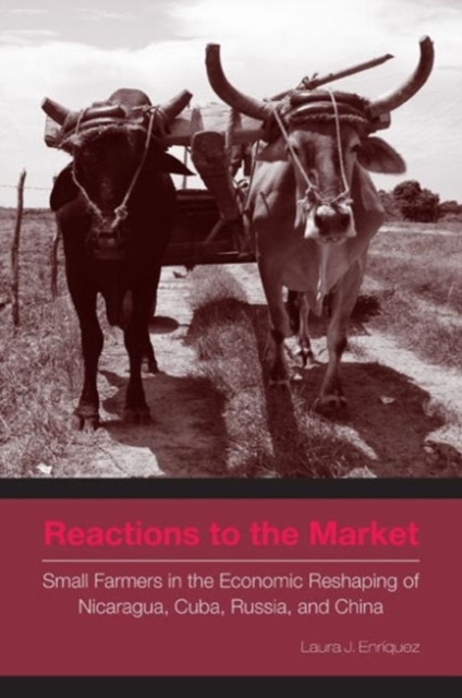 Reactions to the Market : Small Farmers in the Economic Reshaping of Nicaragua, Cuba, Russia, and China, Hardback Book