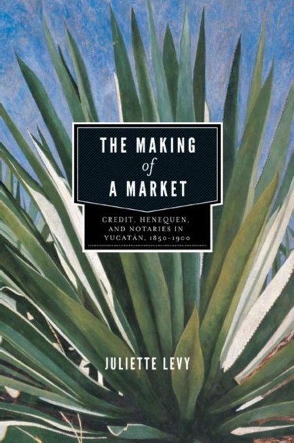 The Making of a Market : Credit, Henequen, and Notaries in Yucatan, 1850-1900, Hardback Book