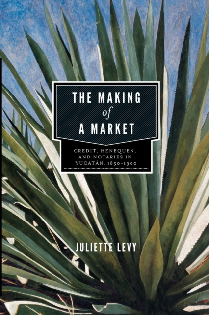 The Making of a Market : Credit, Henequen, and Notaries in Yucatan, 1850-1900, Paperback / softback Book