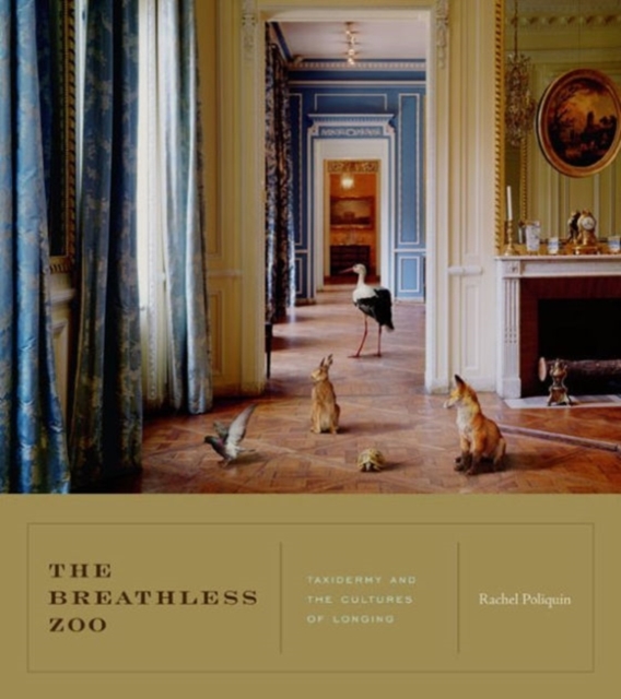 The Breathless Zoo : Taxidermy and the Cultures of Longing, Paperback / softback Book