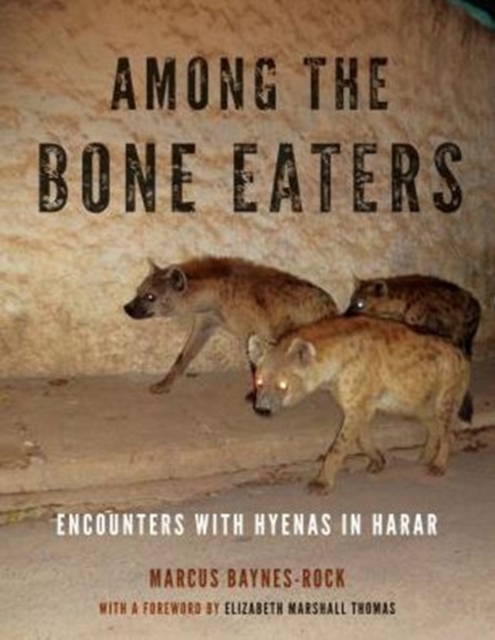 Among the Bone Eaters : Encounters with Hyenas in Harar, Hardback Book