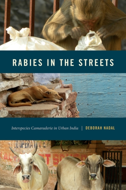 Rabies in the Streets : Interspecies Camaraderie in Urban India, Paperback / softback Book