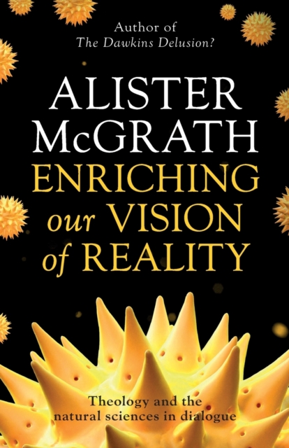 Enriching our Vision of Reality : Theology And The Natural Sciences In Dialogue, Paperback / softback Book