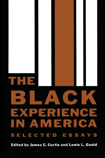 The Black Experience in America : Selected Essays, Paperback / softback Book