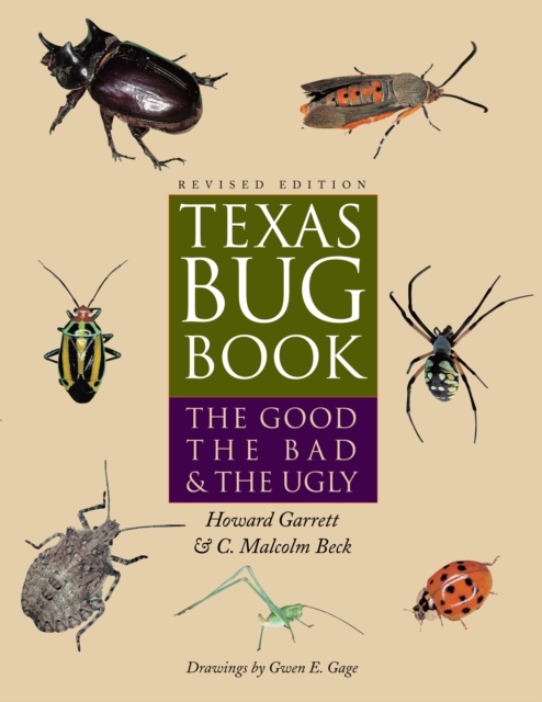 Texas Bug Book : The Good, the Bad, and the Ugly, Paperback / softback Book