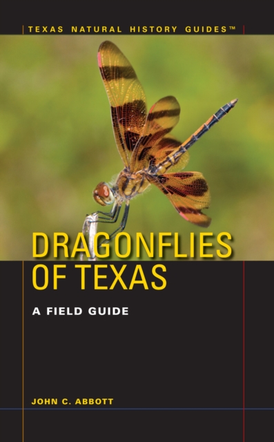 Dragonflies of Texas : A Field Guide, Paperback / softback Book
