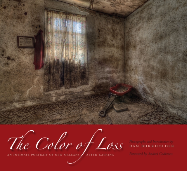 The Color of Loss : An Intimate Portrait of New Orleans after Katrina, Hardback Book
