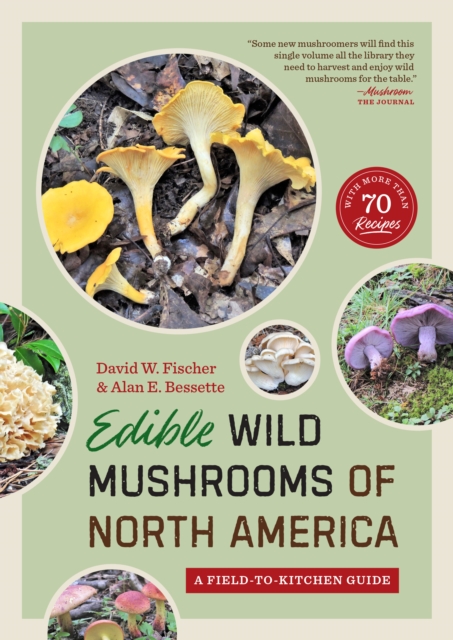 Edible Wild Mushrooms of North America : A Field-to-kitchen Guide, Paperback / softback Book