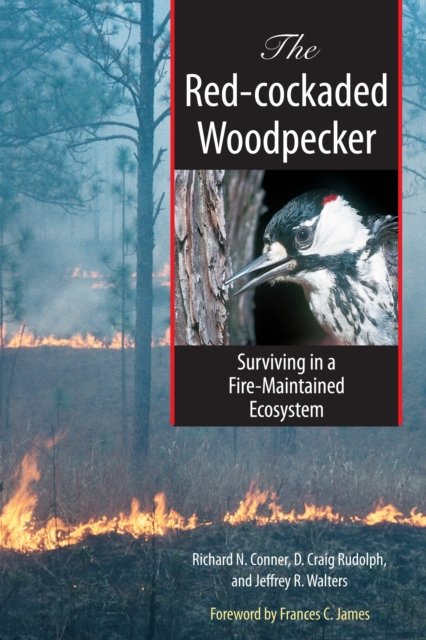 The Red-cockaded Woodpecker : Surviving in a Fire-Maintained Ecosystem, Paperback / softback Book