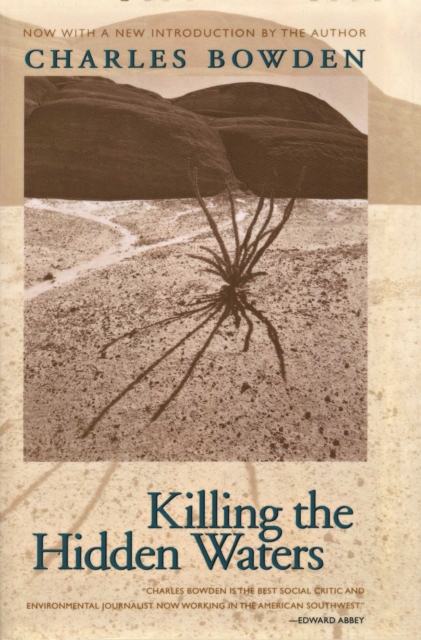 Killing the Hidden Waters, Paperback / softback Book