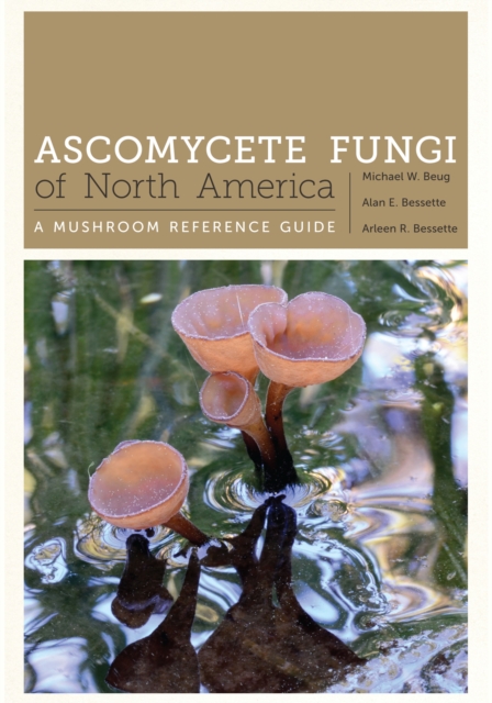 Ascomycete Fungi of North America : A Mushroom Reference Guide, Hardback Book