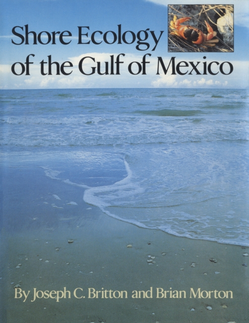 Shore Ecology of the Gulf of Mexico, Paperback / softback Book