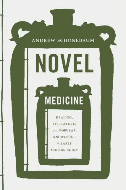Novel Medicine : Healing, Literature, and Popular Knowledge in Early Modern China, Paperback / softback Book