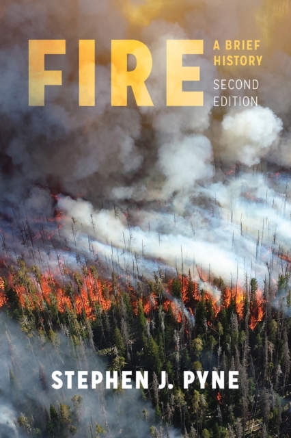 Fire : A Brief History, Paperback / softback Book