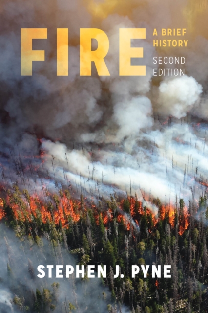 Fire : A Brief History, EPUB eBook