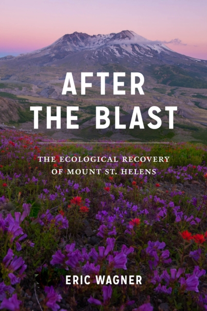After the Blast : The Ecological Recovery of Mount St. Helens, EPUB eBook