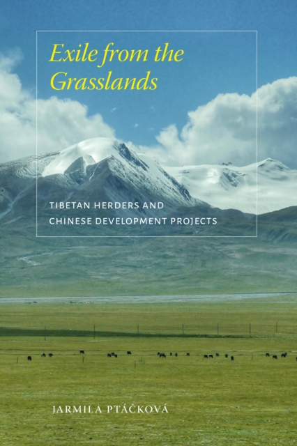 Exile from the Grasslands : Tibetan Herders and Chinese Development Projects, Paperback / softback Book