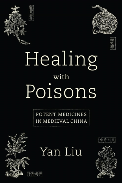 Healing with Poisons : Potent Medicines in Medieval China, Paperback / softback Book