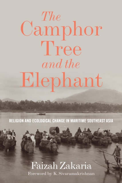The Camphor Tree and the Elephant : Religion and Ecological Change in Maritime Southeast Asia, EPUB eBook