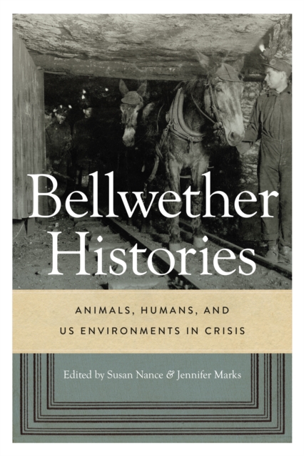 Bellwether Histories : Animals, Humans, and US Environments in Crisis, Paperback / softback Book