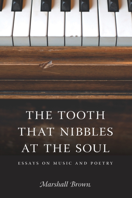 The Tooth That Nibbles at the Soul : Essays on Music and Poetry, EPUB eBook
