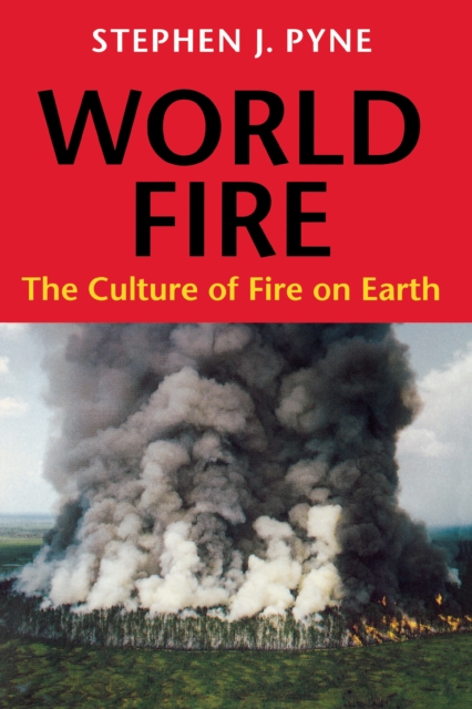 World Fire : The Culture of Fire on Earth, EPUB eBook
