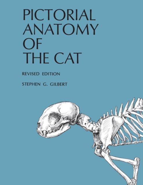 Pictorial Anatomy of the Cat, Paperback / softback Book
