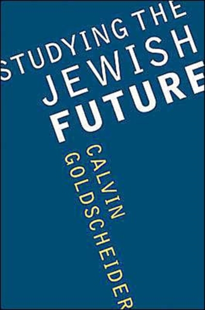 Studying the Jewish Future, Paperback / softback Book