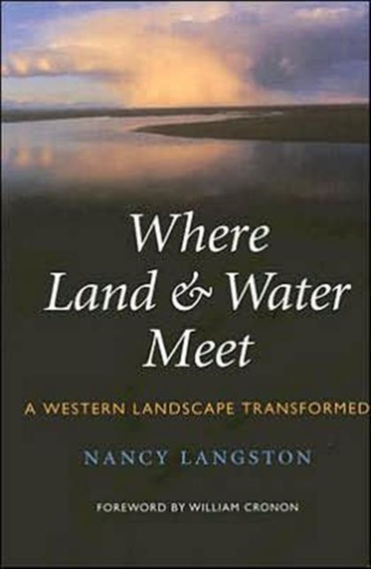 Where Land and Water Meet : A Western Landscape Transformed, Paperback / softback Book