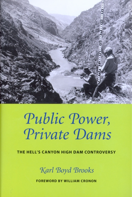 Public Power, Private Dams : The Hells Canyon High Dam Controversy, Paperback / softback Book