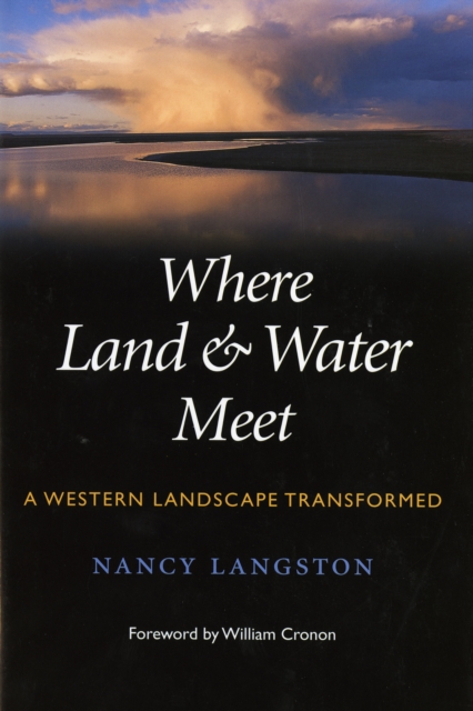 Where Land and Water Meet : A Western Landscape Transformed, EPUB eBook