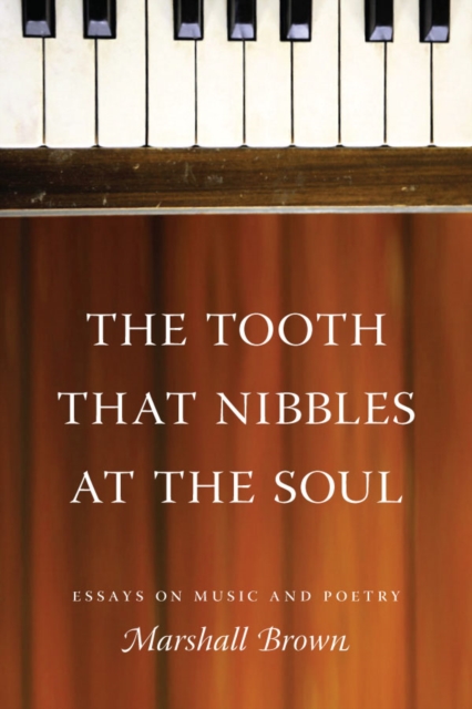 The Tooth That Nibbles at the Soul : Essays on Music and Poetry, Hardback Book