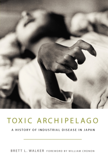 Toxic Archipelago : A History of Industrial Disease in Japan, Paperback / softback Book