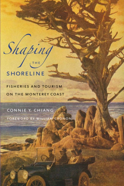 Shaping the Shoreline : Fisheries and Tourism on the Monterey Coast, Paperback / softback Book