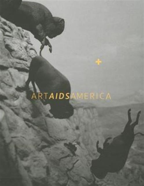 Art AIDS America, Hardback Book