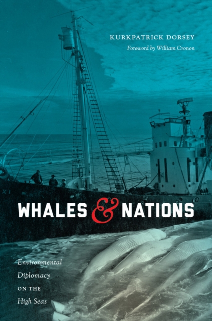 Whales and Nations : Environmental Diplomacy on the High Seas, Paperback / softback Book