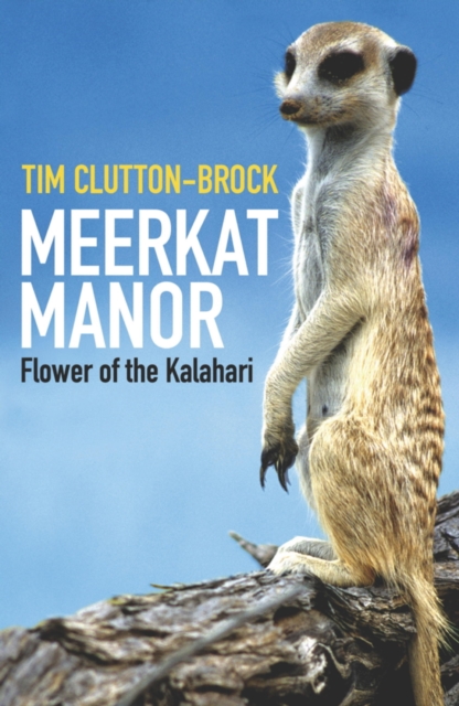 Meerkat Manor : Flower Of The Kalahari, EPUB eBook