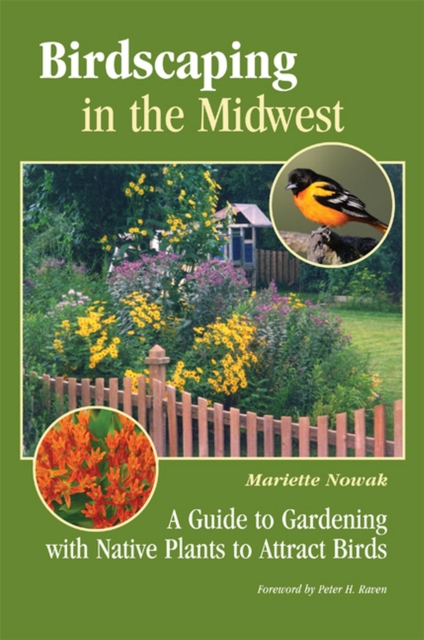 Birdscaping in the Midwest : A Guide to Gardening with Native Plants to Attract Birds, Paperback / softback Book
