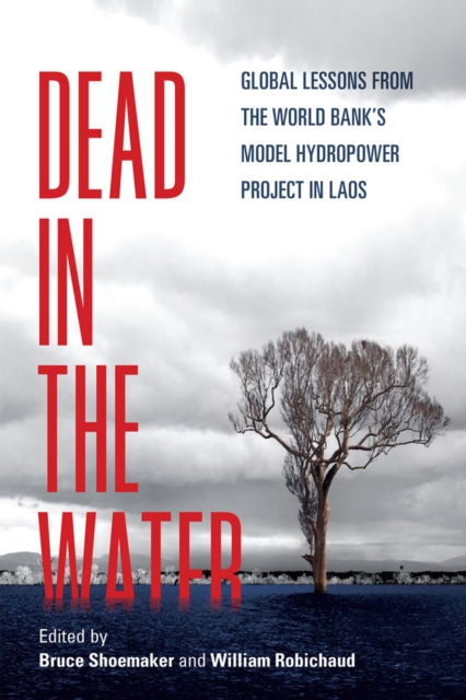 Dead in the Water : Global Lessons from the World Bank's Model Hydropower Project in Laos, Paperback / softback Book