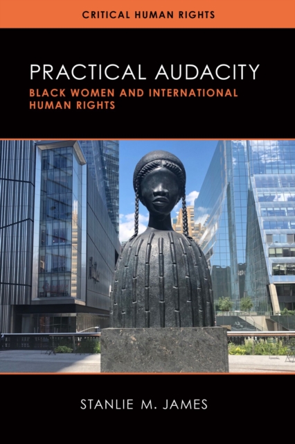 Practical Audacity : Black Women and International Human Rights, Paperback / softback Book
