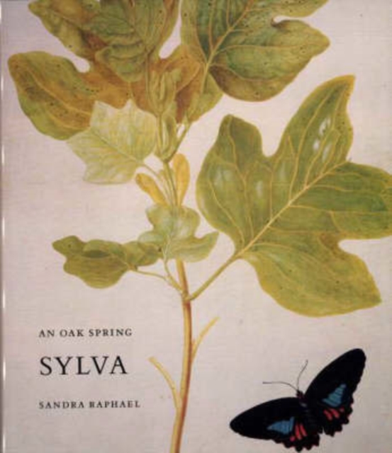 An Oak Spring Sylva : A Selection of the Rare Books on Trees in the Oak Spring Garden Library, Hardback Book