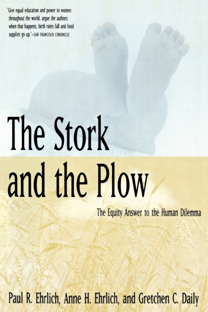 The Stork and the Plow : The Equity Answer to the Human Dilemma, Paperback / softback Book