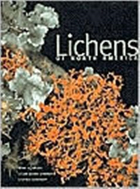 Lichens of North America, Hardback Book