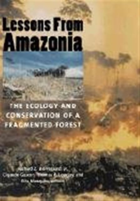 Lessons from Amazonia : The Ecology and Conservation of a Fragmented Forest, Hardback Book