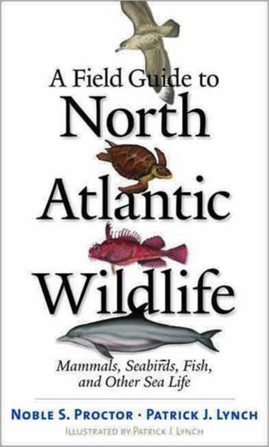 A Field Guide to North Atlantic Wildlife : Marine Mammals, Seabirds, Fish, and Other Sea Life, Paperback / softback Book